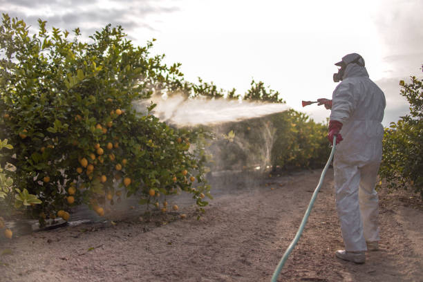 Best Fumigation Services  in USA